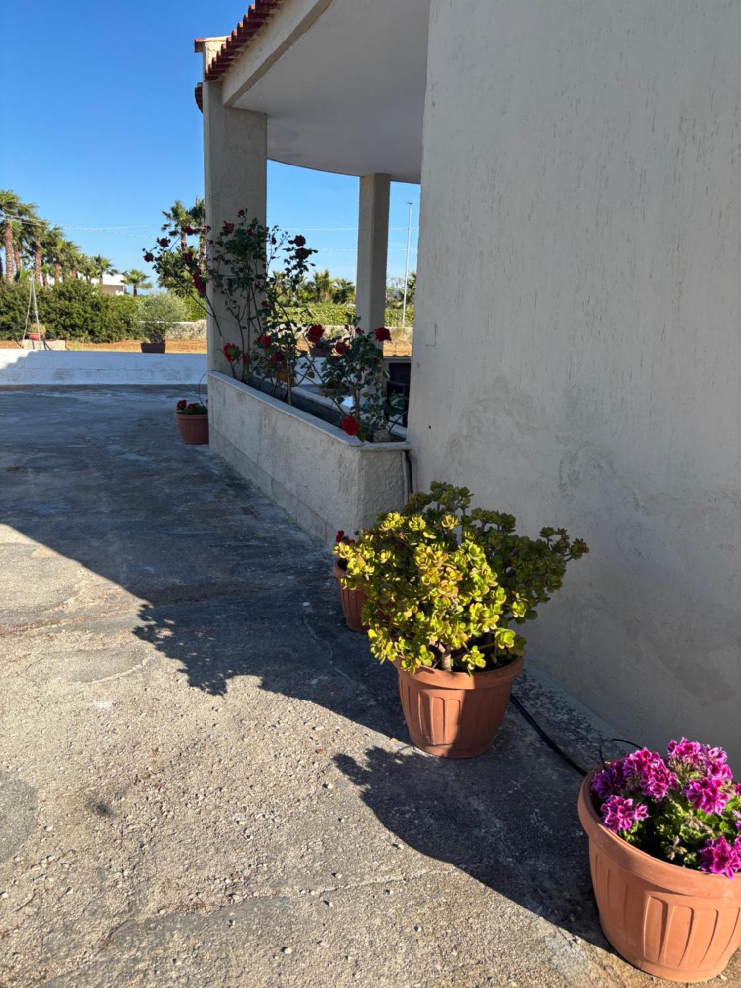 Lilly'S House Villa Torre Santa Sabina Bagian luar foto