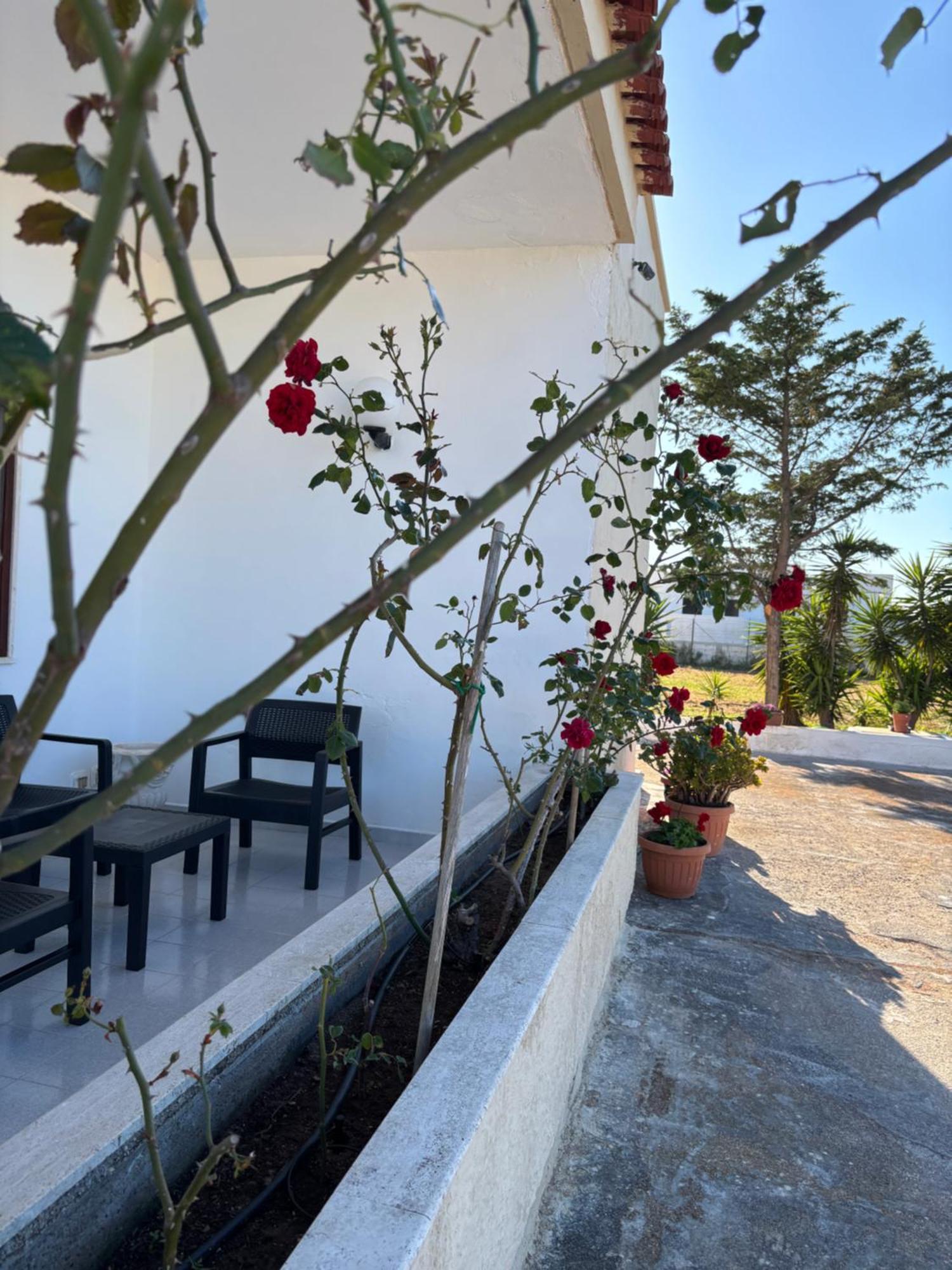 Lilly'S House Villa Torre Santa Sabina Bagian luar foto