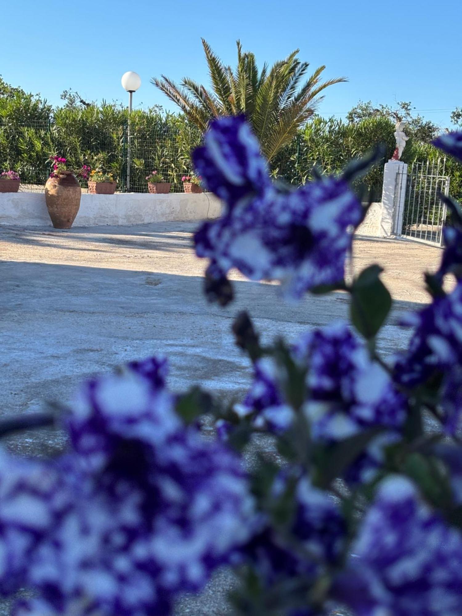 Lilly'S House Villa Torre Santa Sabina Bagian luar foto