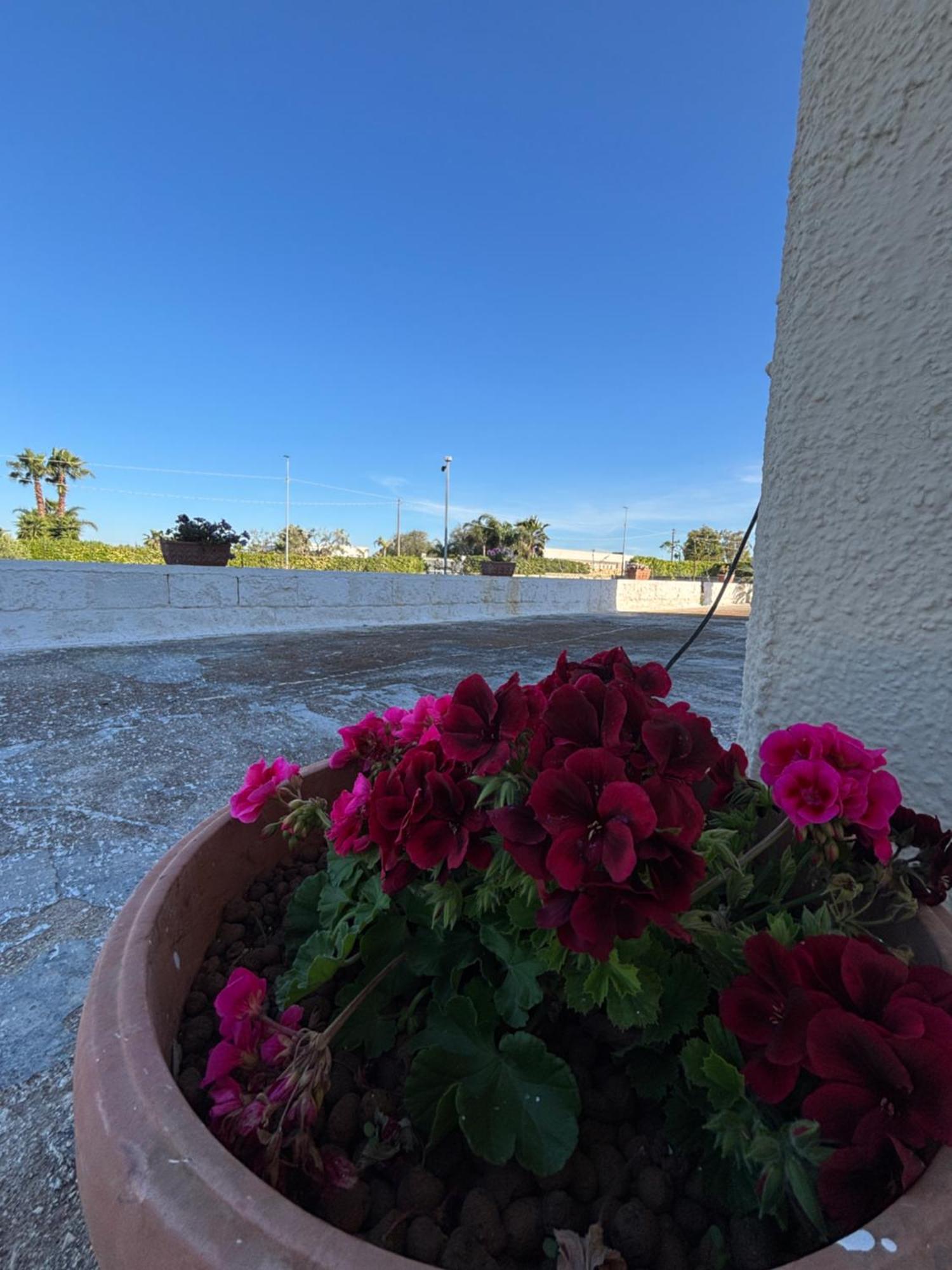 Lilly'S House Villa Torre Santa Sabina Bagian luar foto